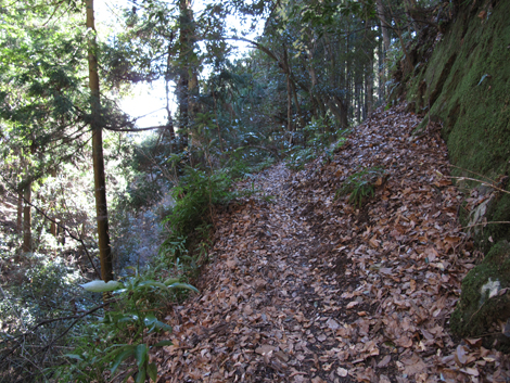 20170113hike (21)